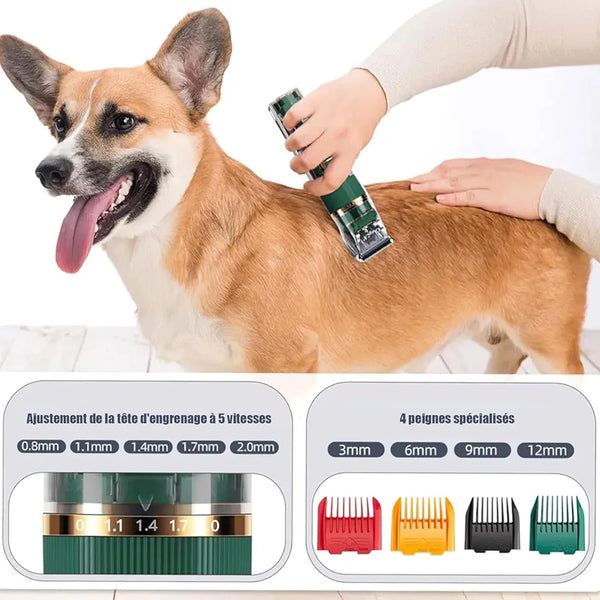 Professional Pet Hair Clipper (Cordless, Dog & Cat Grooming)